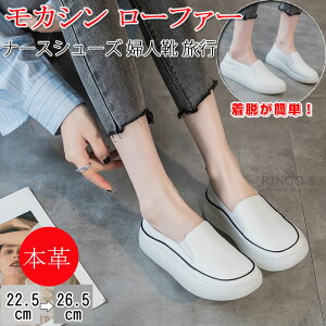 fB[X JV {v [t@[ hCrOV[Y i[XV[Y wlC s JWA ؂ ₷ pvX _炩 tbgV[Y fbLV[Y Vv 