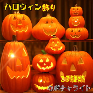 nEB Cg nEB  nEB u ڂჂ`[t nEBpvLCg^ Cg t C~l[V  hЃObY lC IuWF  