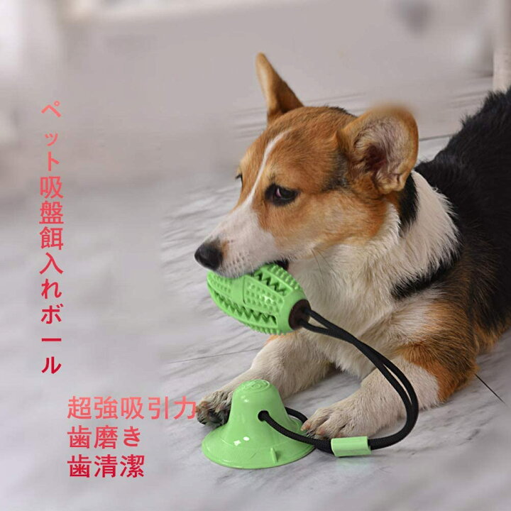楽天市場 犬 おもちゃ 犬用 噛む おもちゃ いぬ おもちゃ 吸盤 ロープ 犬用玩具 ボール 犬発声 おもちゃ 知育 おもちゃ ストレス解消 に 訓練 ロープ 歯ぎしり 犬知育玩具 餌入れ 犬臼歯噛み磨き ラバ歯固め ペット歯磨き 犬歯清潔 小型犬 中型犬 Vooph
