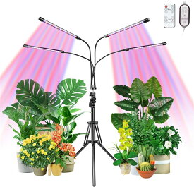 植物成長ライト 自動スイッチタイミング機能 植物栽培ライト （4H / 8H / 12H)屋内栽培ライト 10階調光および360°調整可能な3つの照明パターン植物ライト 2つの調整モード 日光不足を解消栽培ランプ、ジューシーな植物栽培ハイドロポニック用