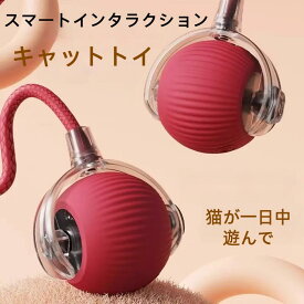 [2点セット]猫用ボールおもちゃ 2点セット 自動 猫玩具 電動 ボール 1個入り USB 充電付き自動 360度回転ローリングボール 運動不足とストレス解消 ロングテールティーザー付きで全床対応