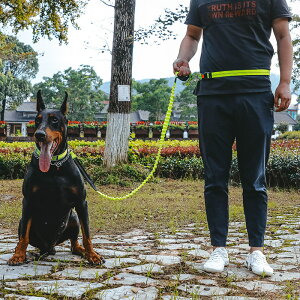 ランニング 腰 ベルト 犬用首輪 リード ハーネスの人気商品 通販 価格比較 価格 Com ランニング 腰 ベルト 犬用首輪 リード ハーネスの人気商品 通販 価格比較 価格 Com