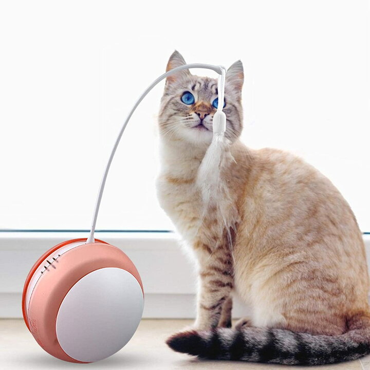 楽天市場 猫 自動 おもちゃ 電動 猫じゃらし 動く Led 光るボール 猫 おもちゃ 電動 ボール 音出る可能 運動不足 ストレス解消 羽のおもちゃ ダイエット Vooph 楽天市場 猫 自動 おもちゃ 電動 猫じゃらし 動く Led 光るボール 猫 おもちゃ 電動 ボール 音出る可能 運動不足 ストレス解消 羽のおもちゃ ダイエット Vooph