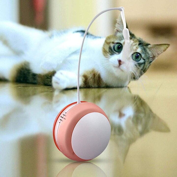 楽天市場 猫 自動 おもちゃ 電動 猫じゃらし 動く Led 光るボール 猫 おもちゃ 電動 ボール 音出る可能 運動不足 ストレス解消 羽のおもちゃ ダイエット Vooph 楽天市場 猫 自動 おもちゃ 電動 猫じゃらし 動く Led 光るボール 猫 おもちゃ 電動 ボール 音出る可能 運動不足 ストレス解消 羽のおもちゃ ダイエット Vooph