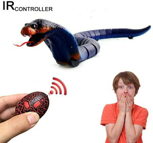 ԊO [gRg[ V~[V Ru  낵RCߋ NX}Xv[g nEBMtg