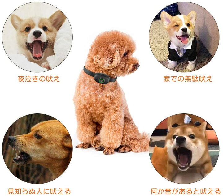 楽天市場 犬無駄吠え防止 しつけ首輪 愛犬むだぼえ防止グッズ ペットトレーニング 犬躾 安全有効 防水 一体化 全自動 5 段階感度調整 安全静電ショック 振動 最新型いぬ訓練器具 吠え噛み癖 矯正 高品質なセンサー 充電式 Vooph