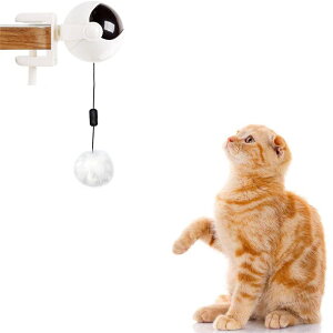 猫 おもちゃ 自動の人気商品 通販 価格比較 価格 Com