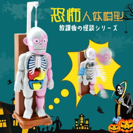 放課後の怪談シリーズ おもちゃ 理科室の模型 放課後の怪談シリーズ 復元パズル おもちゃ 人体模型 恐怖!ドキドキクラッシュ ゾクッ人体模型