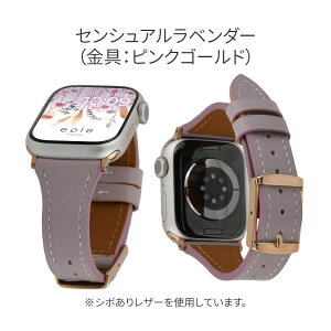 yV[Y11ESE3ΉzAbvEHb` oh 킢 U[  J[ {v tF~j apple watch series 10 x 9 8 SE2 7 SE 6 5 4 3 ULTRA Ή  xg  ANZT[ S7F  38mm