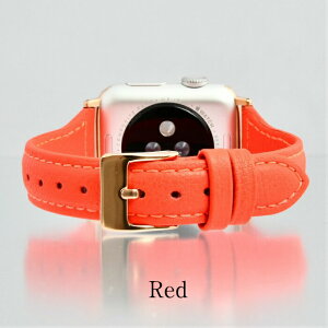 yV[Y11ESE3ΉzAbvEHb`oh  킢 fB[X U[ {v apple watch series 10 9 8 SE 2 7 SE 6 5 4 3 Ή 38mm 40mm 41mm 42mm 44mm 45mm 46mm 49mm ƂĂ΂