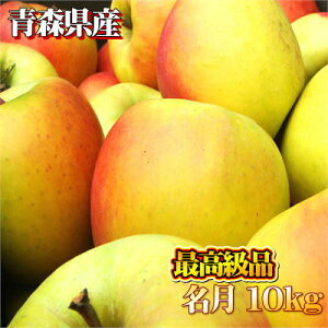 y\񏤕izXY ōi 10kgi32`36ʓj