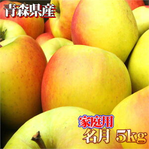 【ご予約商品】青森県産家庭用「名月」5kgダンボール・フルーツキャップ詰(約16〜20玉入)