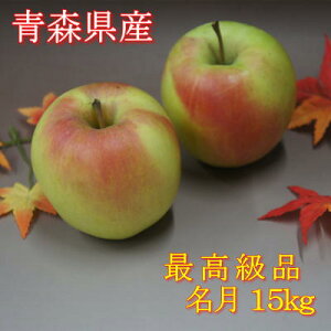 y\񏤕izXY ōi15kgi48`54ʓj