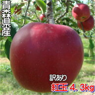 【ご予約販売】青森県産『訳あり紅玉』4.3kgダンボール・モールドパック詰（18〜28玉入り）