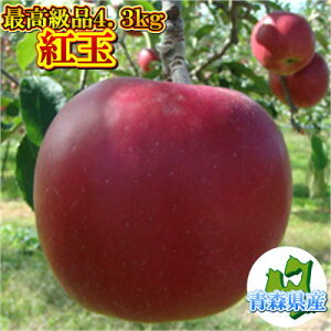 【青森県産】紅玉 最高級品4.3kg(約18〜25玉入)
