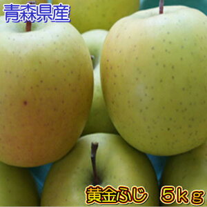 【数量限定】青森県産幻の訳あり黄金ふじ5kg(18〜25玉入り)