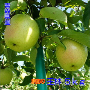 y\̔zXY 󂠂uсv5kg _{[E[hpbNli14`20ʓj