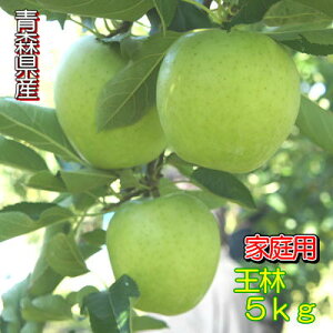 【ご予約商品】青森県産家庭用「王林」5kgダンボール・フルーツキャップ詰(約16〜20玉入)