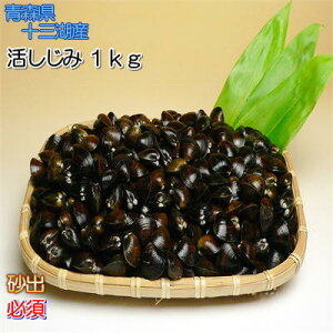 yYnzyzX\OΎYs݁t1kgyszyzBwszy/sz