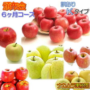 ЕzK^Cv 󂠂5kgl×6i11`4j͖{\