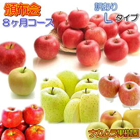 頒布会Lタイプ 訳あり10kg詰×8ヶ月分（9〜4月）発送は毎月中旬予定