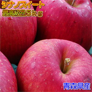 y\̔zXYVimXC[gōi5kgl(16`20)