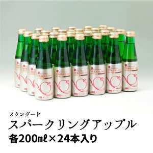 Xp[NOAbvwX^_[hxmAR[ 200mlr×24{