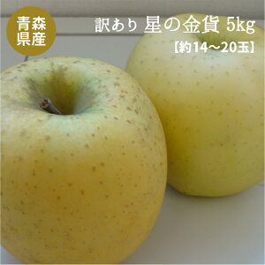 y ̔ zuXYv󂠂 ̋5kgli14`20ʓj