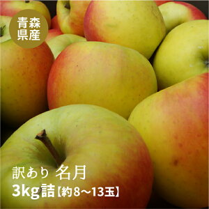 y\̔zXY 󂠂薼3kgi8`13ʓj