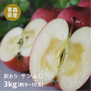 y\̔zXYu󂠂Tӂv3kg_{[E[hpbNli9`13ʓj