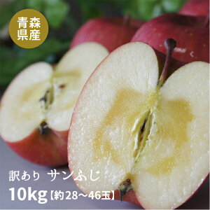 y\̔zXYu󂠂Tӂv10kg_{[E[hpbNli28`46ʓj