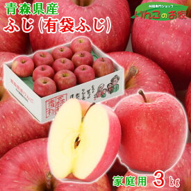 りんご ふじ 訳あり 3kg 10〜12玉 送料無料 青森県産 家庭用 CA冷蔵品
