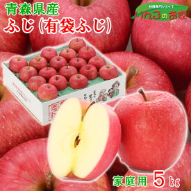 りんご ふじ 訳あり 5kg 16〜20玉 送料無料 青森県産 家庭用 CA冷蔵品