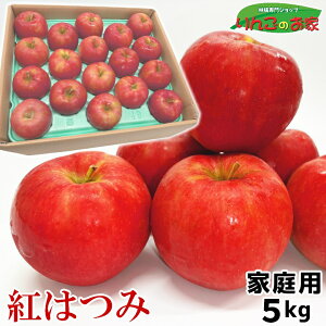 ʌ 󏭕i XY   g͂ 󂠂 ƒp 3kg 5kg N[  Yn ZT[I hV̓ Mtg 蕨 l c  l