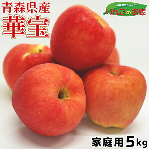 ʌ 󏭕i XY  ؕ 󂠂 ƒp 5kg  N[  ZT[I Yn  Mtg 蕨 l c  l