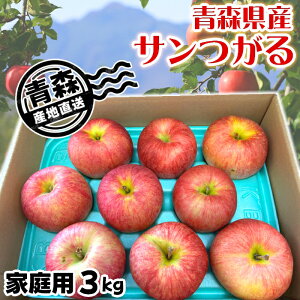 ʌ XY   T 󂠂 ƒp 3kg N[  Yn ZT[I  Mtg 蕨 l c  l