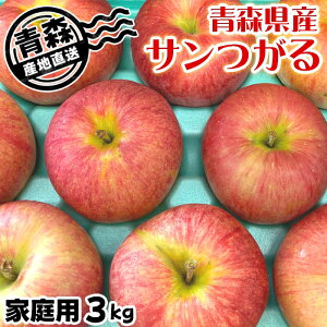 ʌ XY   T 󂠂 ƒp 3kg 8`11 N[  Yn ZT[I  Mtg 蕨 l c  l