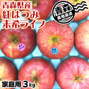 ʌ XY 󏭕i   g͂  󃉃Ct l 󂠂 ƒp 3kg 8`11 N[  Yn ZT[I ~LCt hV̓ Mtg 蕨 l