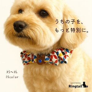 y VV 16 mzringtail   o_i VV  킢 { nhCh Č gCv[h ` |jA ~j`A_bNXth