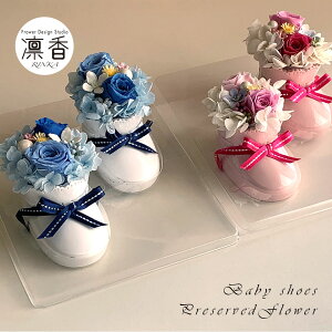 vU[uht[ AW xr[V[Y [Y o P[X Mtgɂ