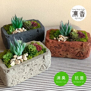 多肉植物 寄せ植え プレゼントの人気商品 通販 価格比較 価格 Com