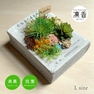 A 񂹐A  AeB[NubN LTCY CTG}H A v[g Mtg AW Mtgɂ ̓ a ސEj  Ԃ