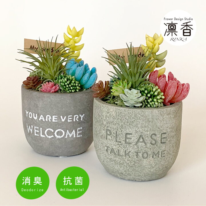 楽天市場 多肉植物 寄せ植え おしゃれ メッセージデザインポット Ct触媒加工 多肉植物 プレゼント ギフト アレンジ エンボス加工 アンティーク加工 ギフトにもおすすめ 母の日 誕生日 送別 お返し 凛香フラワーデザインスタジオ