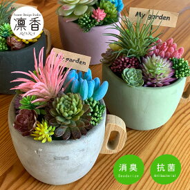 多肉植物 寄せ植え おしゃれ セメントウッド マグポット CT触媒加工 多肉植物 プレゼント ギフト アレンジ エンボス加工 アンティーク加工 ギフトにもおすすめ 母の日 誕生日 送別 お返し