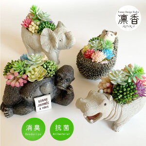造花 アレンジ プレゼントの人気商品 通販 価格比較 価格 Com 造花 アレンジ プレゼントの人気商品 通販 価格比較 価格 Com