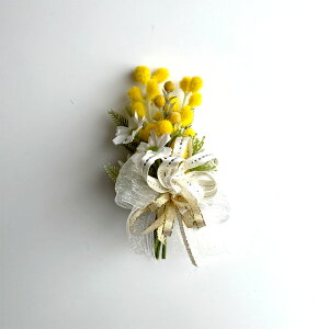 RT[W i ~U o AWTC  p[ { lC P[X  Nbvt   w Ǝ  p[eB t \ RN[ 40 50 `OX