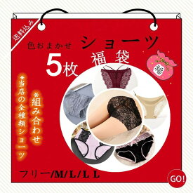 【ファッショセール！10％OFF！】レデースショーツ 5枚セット tバック 福袋 下着 女性用 婦人用 パンツ ショーツまとめ買い レース 綿混 下着パンツ スタンダード福袋 サニタリー レデースショーツ安い すけすけ セット下着 パンティ 綿100% 2023福袋 プレゼント