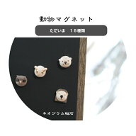 動物マグネット 磁石 小さい磁石 強力 マグネット 木製マグネット アニマルマグネット くま あざらし ペ…