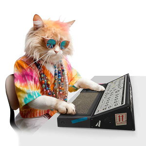 suck UK yTbNUKzLbg XNb` VZTCU[ Cat Scratch Synth lRp߂Ƃ