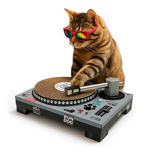 suck UK yTbNUKzLbg XNb` Cat Scratch DJ lRp߂Ƃ